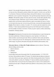 www.speros.lt